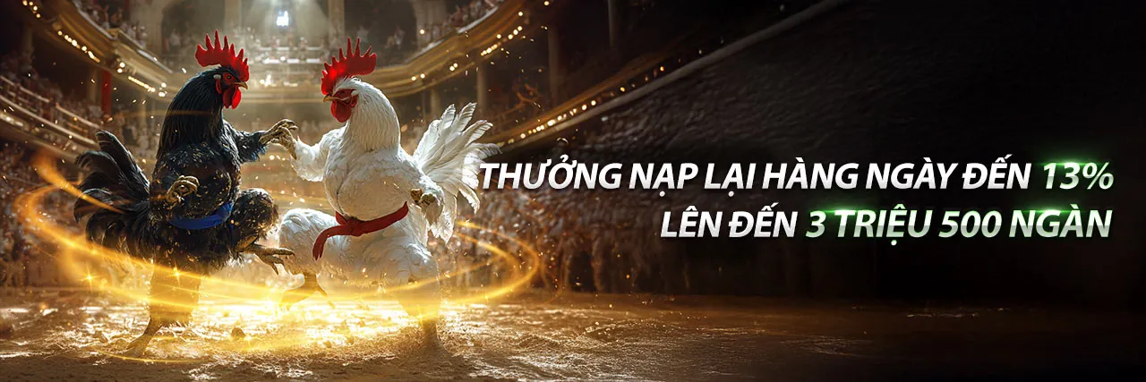 Chương trình VIP dv88